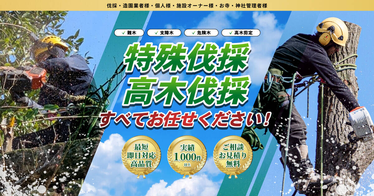 庭木伐採・危険木伐採】鹿児島 特殊伐採｜特殊伐採プロ – 鹿児島市