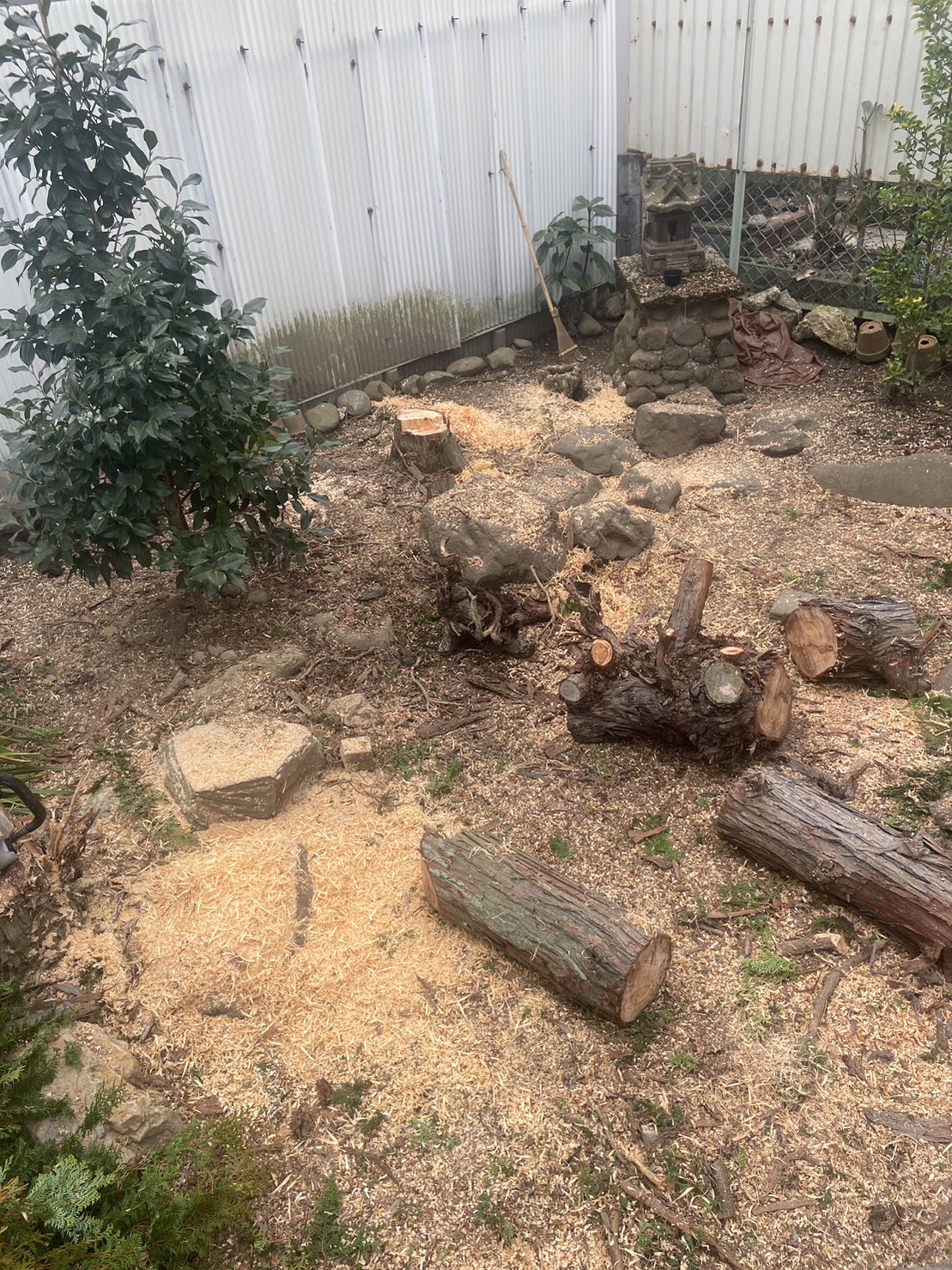 日置市　大木伐採（庭木 特殊伐採） - After