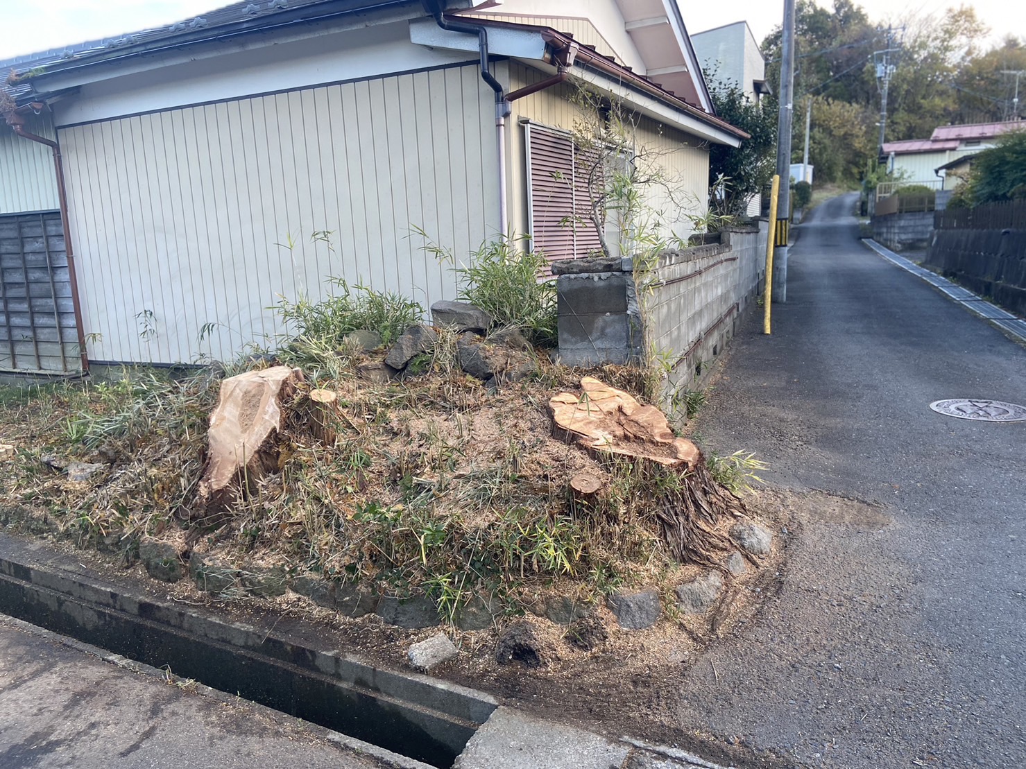 鹿児島市　伐採 - After