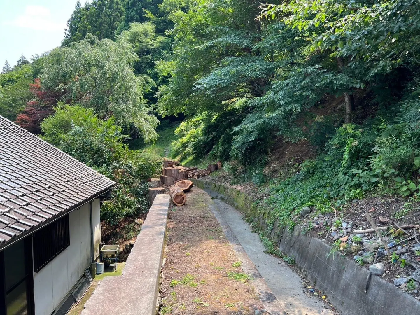 日置市 庭木 伐採 - After