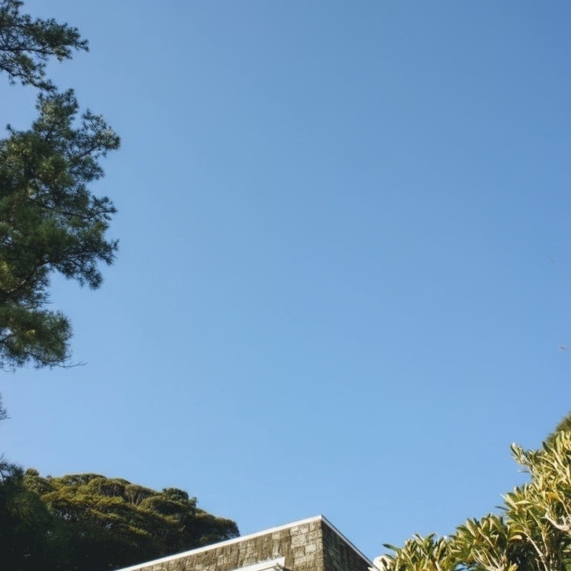 【施工事例】鹿児島市｜マンション敷地内の危険木を安全に伐採 - After