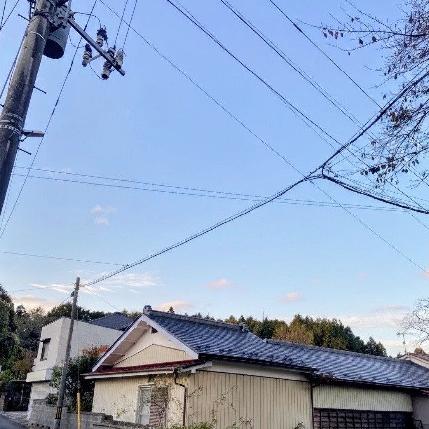 【施工事例】電線に絡んだ立木2本を安全に伐採 - After